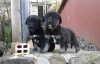 Filename=2013-12-22_15_30_54.jpg
Filesize=1021KiB
Dimensions=1904x1232
Date added=%812 %24, %2013 2013-12-22_15_30_54.jpg