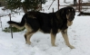 Filename=2015-02-06_20_25_28.jpg
Filesize=78KiB
Dimensions=996x609
Date added=%468 %07, %2015 2015-02-06_20_25_28.jpg