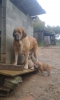 Filename=20151028_171513.jpg
Filesize=1055KiB
Dimensions=1536x2560
Date added=%991 %24, %2016 20151028_171513.jpg