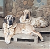 Filename=20210118_181542.jpg
Filesize=1892KiB
Dimensions=2199x2155
Date added=%029 %27, %2021 20210118_181542.jpg