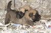 Filename=20~1.jpg
Filesize=89KiB
Dimensions=778x519
Date added=%264 %19, %2009 20~1.jpg