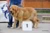 Filename=20~2.jpg
Filesize=40KiB
Dimensions=640x428
Date added=%496 %15, %2012 20~2.jpg