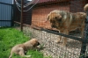 Filename=22.jpg
Filesize=342KiB
Dimensions=849x566
Date added=%667 %18, %2008 22.jpg