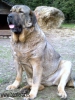 Filename=220220144996_2.jpg
Filesize=103KiB
Dimensions=540x720
Date added=%883 %30, %2014 220220144996_2.jpg