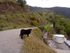Filename=24042011093.jpg
Filesize=298KiB
Dimensions=1600x1200
Date added=%954 %04, %2011 24042011093.jpg