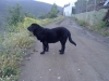 Filename=24042011101.jpg
Filesize=227KiB
Dimensions=1600x1200
Date added=%953 %04, %2011 24042011101.jpg
