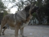 Filename=2~0.jpg
Filesize=113KiB
Dimensions=768x576
Date added=%862 %17, %2009 2~0.jpg