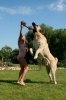 Filename=2~11.jpg
Filesize=374KiB
Dimensions=683x1025
Date added=%600 %15, %2010 2~11.jpg