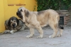 Filename=2~12.jpg
Filesize=78KiB
Dimensions=778x519
Date added=%486 %07, %2010 2~12.jpg