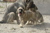 Filename=2~13.jpg
Filesize=289KiB
Dimensions=972x648
Date added=%274 %01, %2011 2~13.jpg