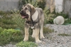 Filename=2~14.jpg
Filesize=287KiB
Dimensions=972x648
Date added=%296 %02, %2011 2~14.jpg