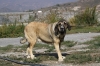 Filename=2~3.jpg
Filesize=175KiB
Dimensions=972x648
Date added=%278 %13, %2009 2~3.jpg