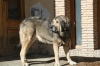 Filename=2~6.jpg
Filesize=128KiB
Dimensions=972x648
Date added=%927 %28, %2010 2~6.jpg