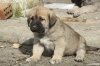 Filename=2~8.jpg
Filesize=102KiB
Dimensions=778x519
Date added=%286 %09, %2010 2~8.jpg