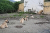 Filename=2~9.jpg
Filesize=118KiB
Dimensions=778x519
Date added=%292 %09, %2010 2~9.jpg