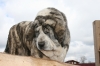 Filename=3.jpg
Filesize=178KiB
Dimensions=860x574
Date added=%767 %16, %2008 3.jpg