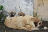 Filename=33.jpg
Filesize=97KiB
Dimensions=778x519
Date added=%289 %09, %2010 33.jpg