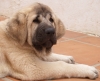 Filename=3meses.jpg
Filesize=129KiB
Dimensions=925x753
Date added=%536 %29, %2007 3meses.jpg