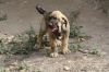 Filename=3~10.jpg
Filesize=278KiB
Dimensions=972x648
Date added=%273 %01, %2011 3~10.jpg