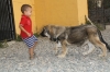 Filename=3~11.jpg
Filesize=267KiB
Dimensions=972x648
Date added=%295 %02, %2011 3~11.jpg