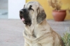 Filename=3~9.jpg
Filesize=58KiB
Dimensions=778x519
Date added=%486 %07, %2010 3~9.jpg