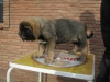 Filename=4.JPG
Filesize=111KiB
Dimensions=768x576
Date added=%447 %28, %2009 4.JPG