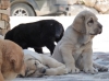 Filename=435.jpg
Filesize=250KiB
Dimensions=1459x1094
Date added=%952 %28, %2009 435.jpg