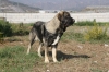 Filename=4~2.jpg
Filesize=194KiB
Dimensions=972x648
Date added=%275 %13, %2009 4~2.jpg