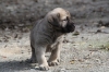 Filename=4~5.jpg
Filesize=78KiB
Dimensions=778x519
Date added=%587 %22, %2010 4~5.jpg