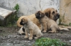 Filename=4~6.jpg
Filesize=95KiB
Dimensions=778x519
Date added=%291 %09, %2010 4~6.jpg