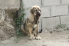 Filename=4~8.jpg
Filesize=287KiB
Dimensions=972x648
Date added=%273 %01, %2011 4~8.jpg
