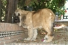 Filename=55.jpg
Filesize=90KiB
Dimensions=778x519
Date added=%485 %07, %2010 55.jpg
