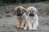 Filename=5~6.jpg
Filesize=77KiB
Dimensions=778x519
Date added=%290 %09, %2010 5~6.jpg