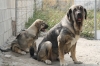 Filename=5~7.jpg
Filesize=268KiB
Dimensions=972x648
Date added=%272 %01, %2011 5~7.jpg