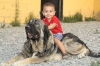 Filename=5~8.jpg
Filesize=241KiB
Dimensions=972x648
Date added=%294 %02, %2011 5~8.jpg