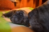Filename=5~9.jpg
Filesize=218KiB
Dimensions=1023x678
Date added=%919 %14, %2013 5~9.jpg