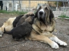 Filename=6~0.JPG
Filesize=148KiB
Dimensions=768x576
Date added=%446 %28, %2009 6~0.JPG