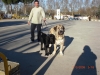 Filename=6~0.jpg
Filesize=131KiB
Dimensions=800x600
Date added=%905 %20, %2009 6~0.jpg