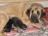Filename=6~1.jpg
Filesize=149KiB
Dimensions=839x630
Date added=%492 %15, %2009 6~1.jpg