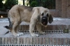 Filename=6~6.jpg
Filesize=101KiB
Dimensions=778x519
Date added=%485 %07, %2010 6~6.jpg