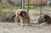 Filename=6~7.jpg
Filesize=314KiB
Dimensions=972x648
Date added=%272 %01, %2011 6~7.jpg
