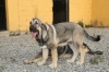 Filename=6~8.jpg
Filesize=247KiB
Dimensions=972x648
Date added=%293 %02, %2011 6~8.jpg
