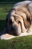 Filename=7~0.JPG
Filesize=243KiB
Dimensions=683x1024
Date added=%676 %03, %2010 7~0.JPG