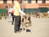 Filename=7~0.jpg
Filesize=97KiB
Dimensions=816x612
Date added=%904 %20, %2009 7~0.jpg