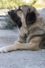 Filename=7~1.jpg
Filesize=101KiB
Dimensions=648x972
Date added=%273 %13, %2009 7~1.jpg