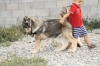 Filename=7~6.jpg
Filesize=270KiB
Dimensions=972x648
Date added=%292 %02, %2011 7~6.jpg