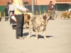 Filename=8~0.jpg
Filesize=93KiB
Dimensions=816x612
Date added=%903 %20, %2009 8~0.jpg