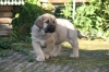 Filename=8~4.jpg
Filesize=86KiB
Dimensions=778x519
Date added=%287 %09, %2010 8~4.jpg