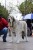 Filename=8~7.jpg
Filesize=45KiB
Dimensions=428x640
Date added=%500 %15, %2012 8~7.jpg