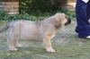 Filename=9~1.jpg
Filesize=76KiB
Dimensions=778x519
Date added=%288 %09, %2010 9~1.jpg